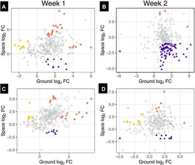 Effects of dexamethasone and IGF-1 on post-traumatic osteoarthritis-like catabolic changes in a human cartilage-bone-synovium microphysiological system in space and ground control tissues on earth